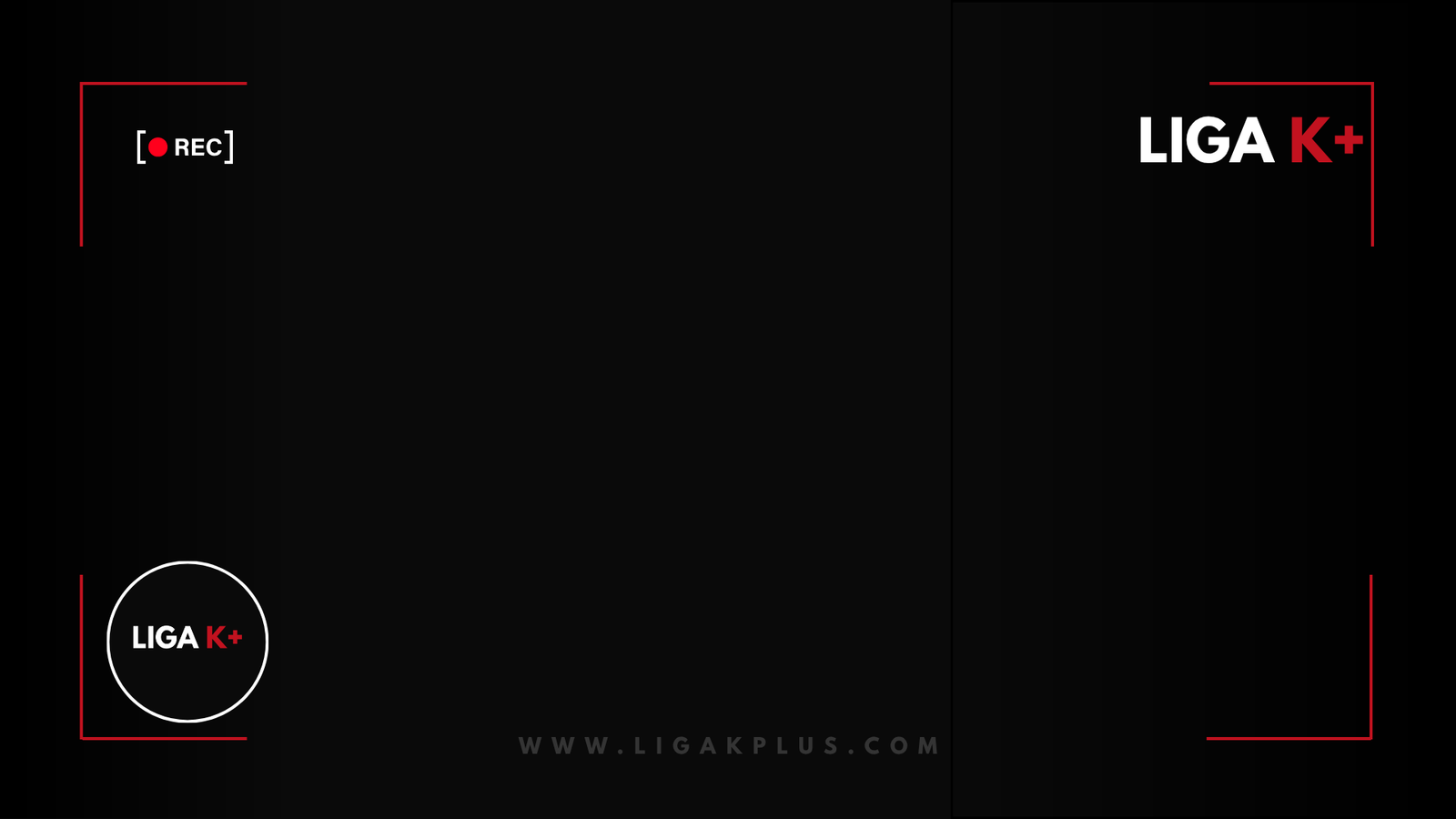 Live Broadcast Interface